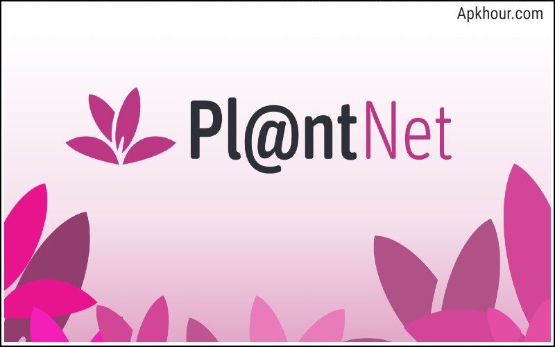 Plantnet Apk